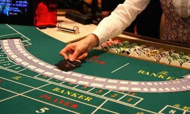 Sports and casino-style entertainment sections displayed in tv999 hub